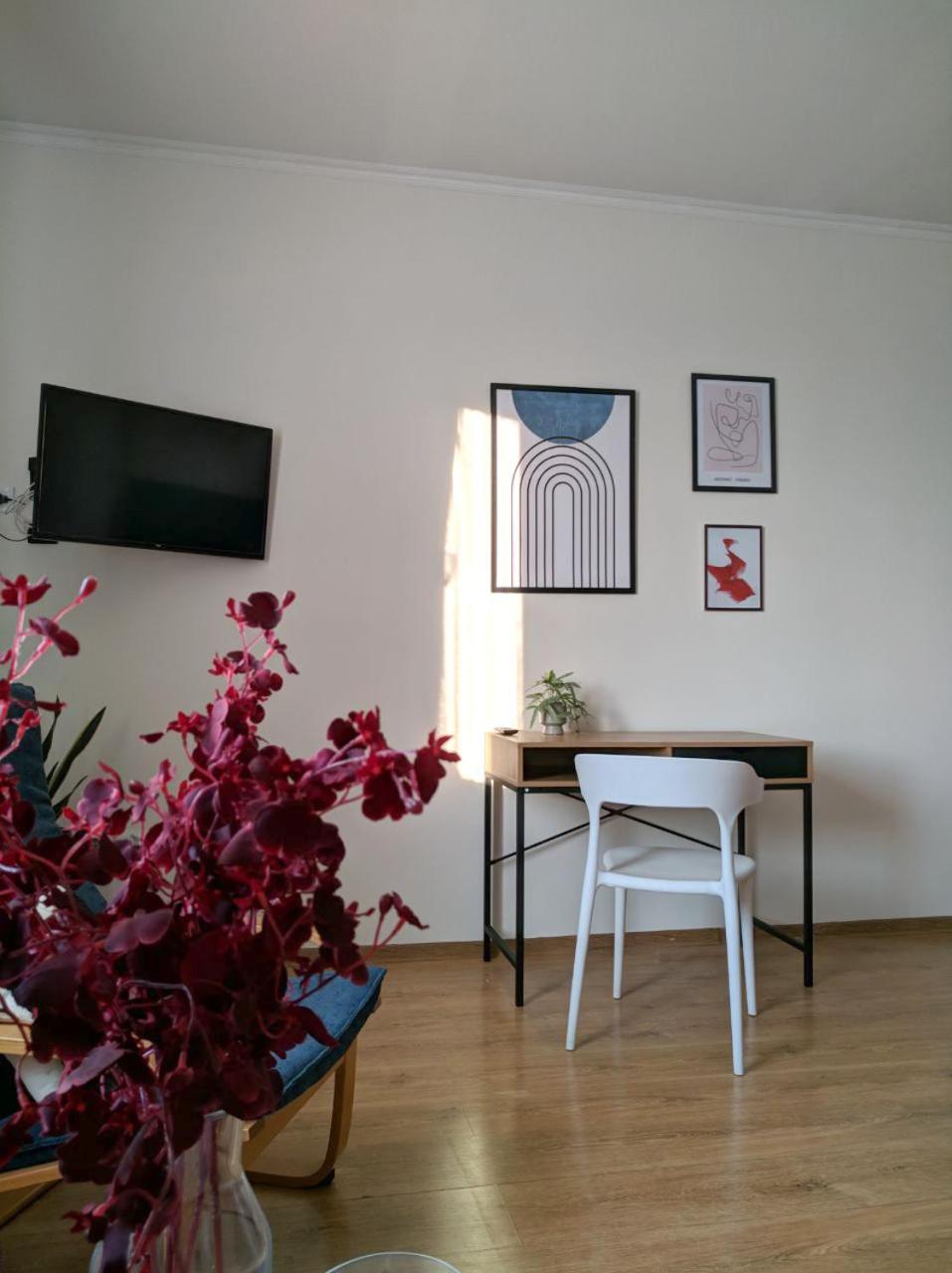 Best Apartment In The Center Mukaczewo Zewnętrze zdjęcie